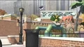 Lemur-Habitat 5.JPG