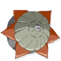 Kowaina 11