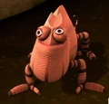 Chamelon002.JPG