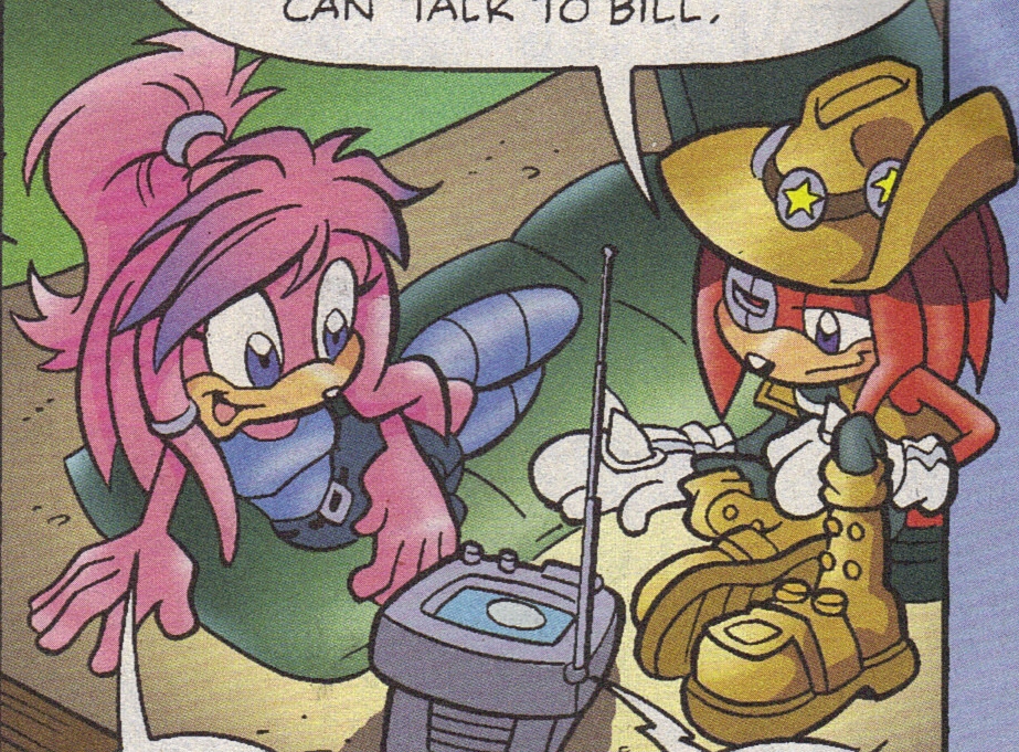 Knuckles And Sally