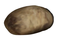 FO3 fresh potato