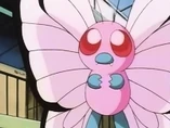 EP021 Butterfree Rosa