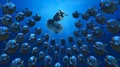 Scrat piranhas.jpg