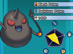 Black Potan-WC10