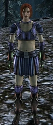 Female Dalish Leather Armor Set