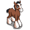 Clydesdale Foal-icon.png