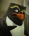 Buck Rockgut.jpg