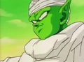 Piccolo24