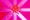 TRaPS flag