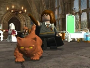 Lego2 Hermione Crookshanks