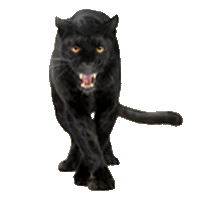 Huge item jaguar 75x75 01.gif