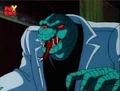 Lizard.jpg