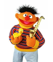 Put Down the Duckie (song)