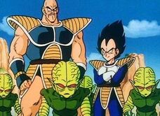 Saiba1