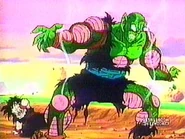 Piccolo