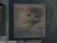 Cat1