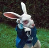 Whiterabbit