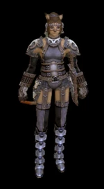 FFXI romaaS