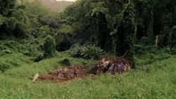 6x05Claire'scamp