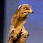 Puppets (23)