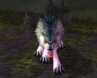 Ragged Scavenger