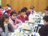 Satranc2010 1