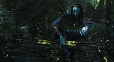 Neytiri 0001