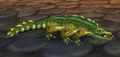 Young Wetlands Crocolisk.jpg