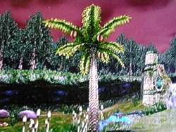 Dumbledang Tree