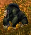 Jungle Thunderer.jpg