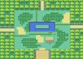 Pokemon-FL-SafariZone-CenterArea.png