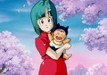 BulmaBabyTrunks