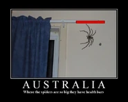 Spiders With Healthbars