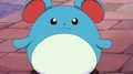 EP612 Marill de Lyra.png