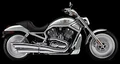 Jasper Harley sm.jpg