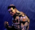 Bruce Wayne 007
