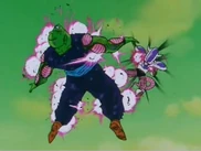 Piccolo vs Freezer5