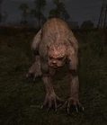 http://stalker.wikia