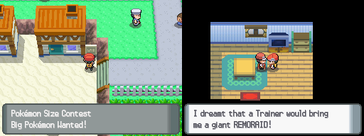 Diamond-Pearl Route 222 3