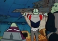 TigFromm3.jpg