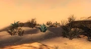 The Arcane Flats.jpg