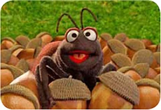 Elmo'sBackyard-Ant