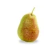 Forelle