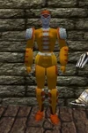 Leather Armor Fail Live