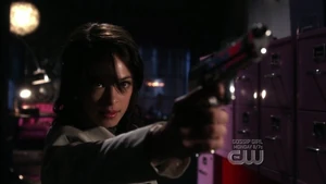 LANA GUN