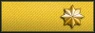 Sleeve insignia.