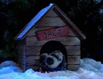Bearxmas2-14