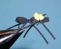 Chernobyl Ant.png