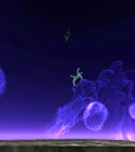 Displacer first 1