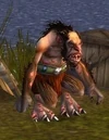 Stonesplinter Seer